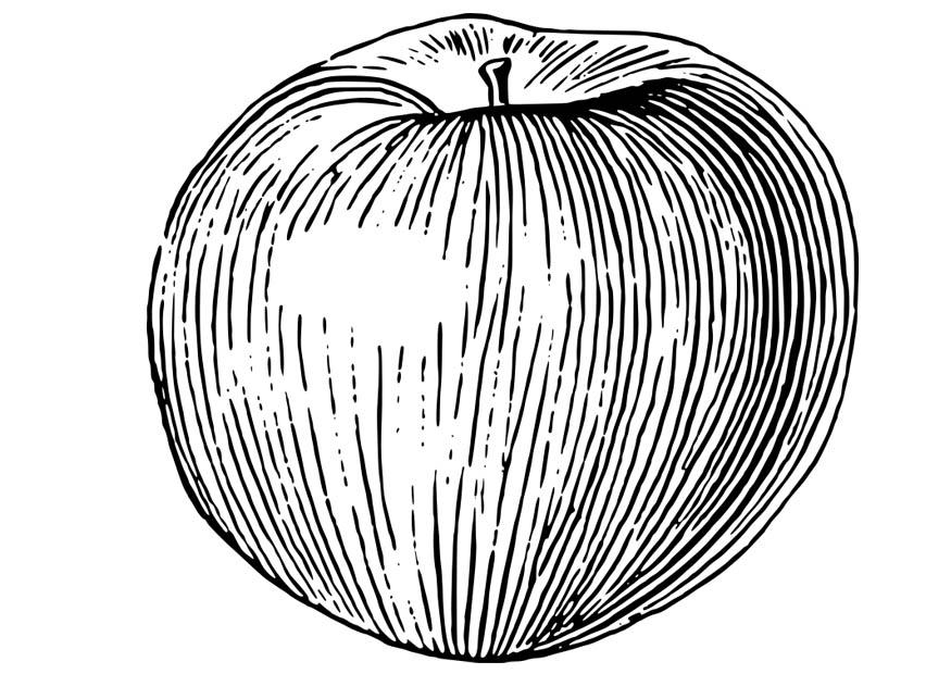 manzana Dibujo para colorear manzana