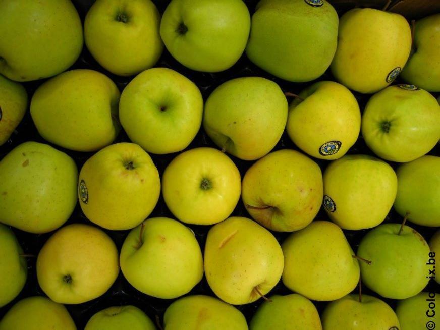 manzanas Foto manzanas