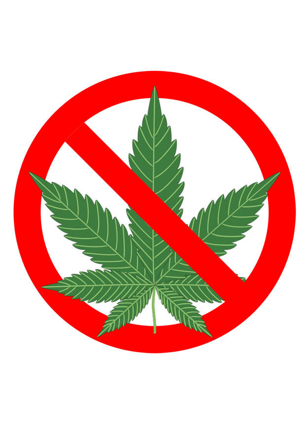 marihuana prohibida Imagen marihuana prohibida