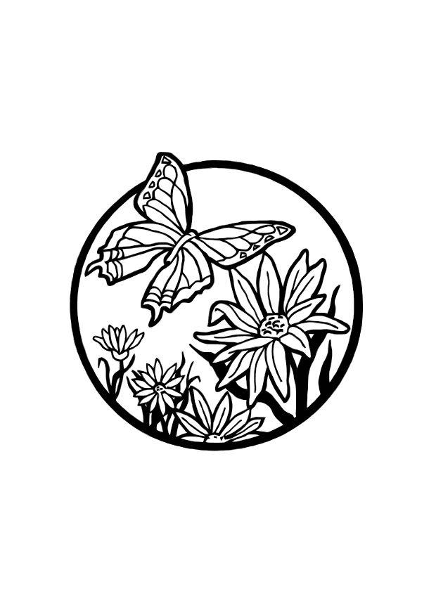 mariposa Dibujo para colorear mariposa