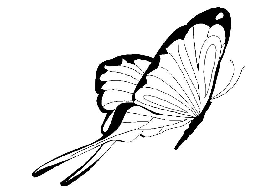 mariposa Dibujo para colorear mariposa