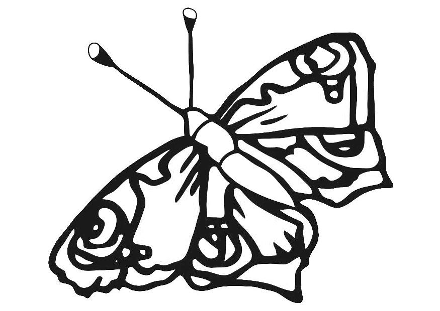 mariposa Dibujo para colorear mariposa