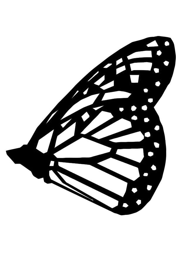 mariposa Dibujo para colorear mariposa