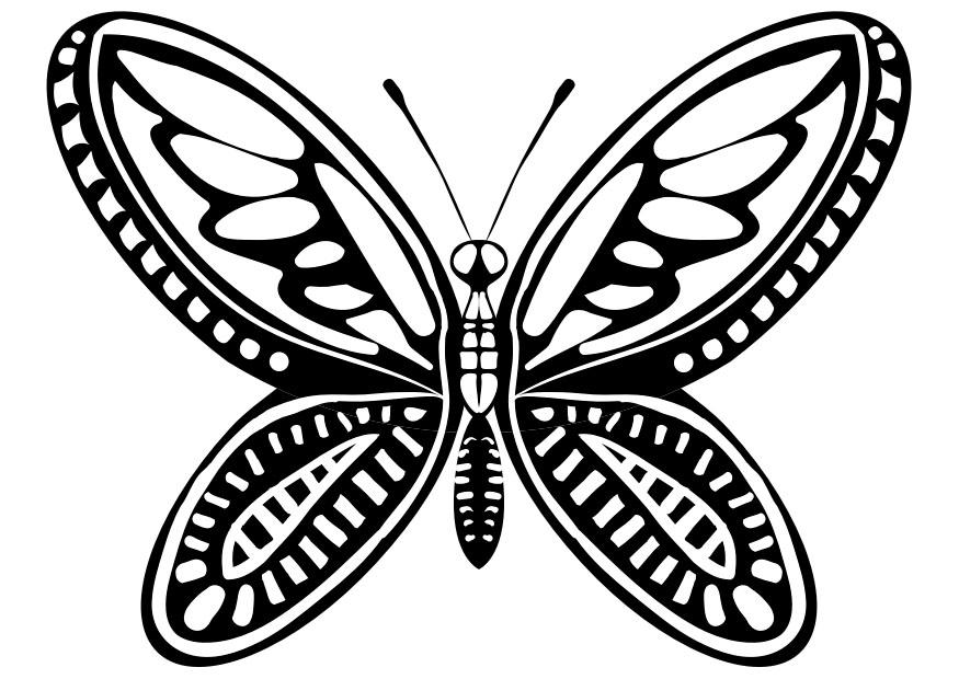 mariposa Dibujo para colorear mariposa