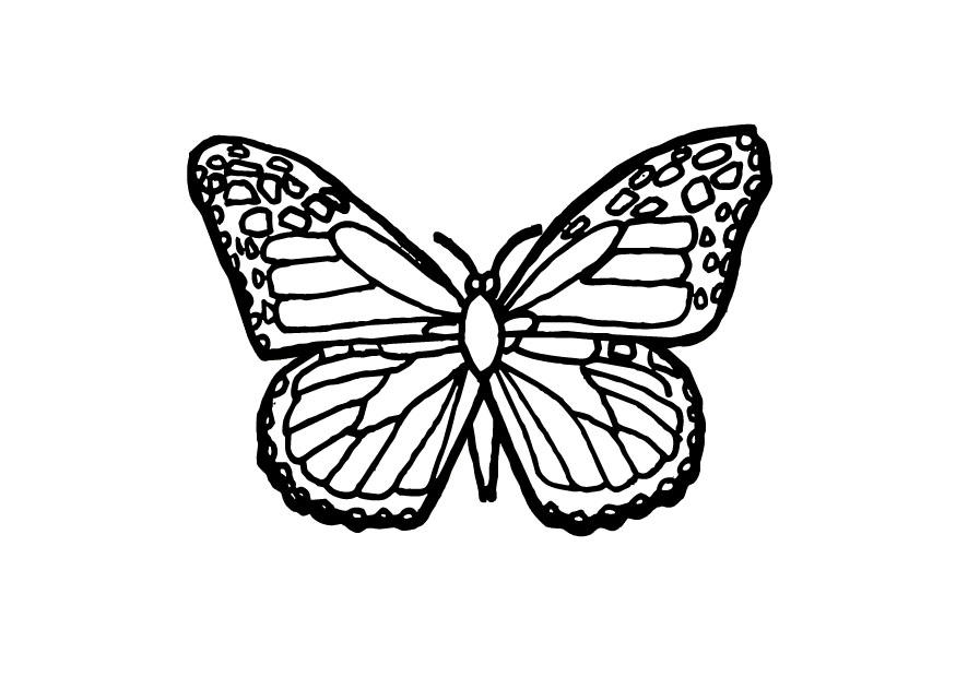 mariposa Dibujo para colorear mariposa