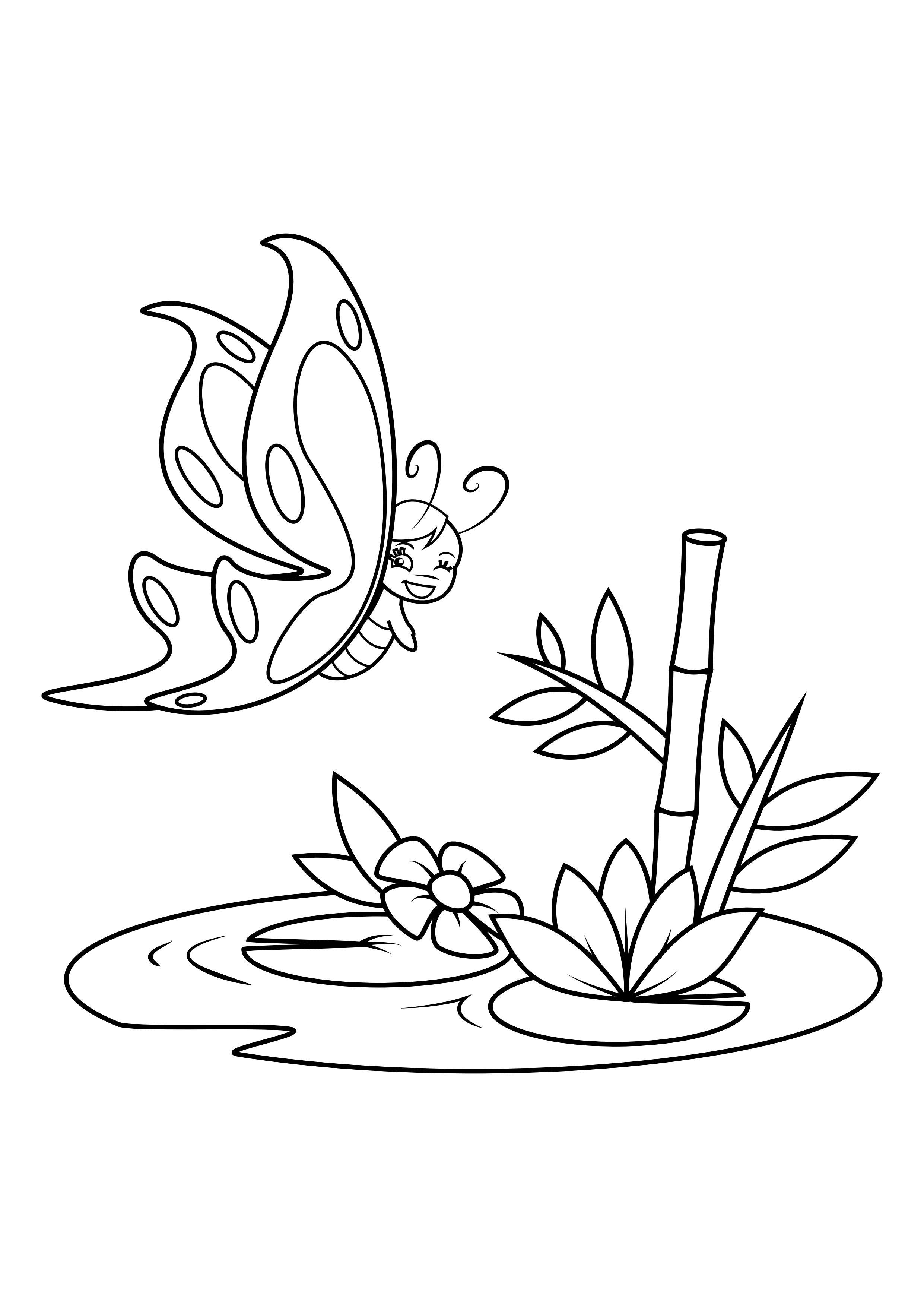 Dibujo para colorear mariposa sobre el agua