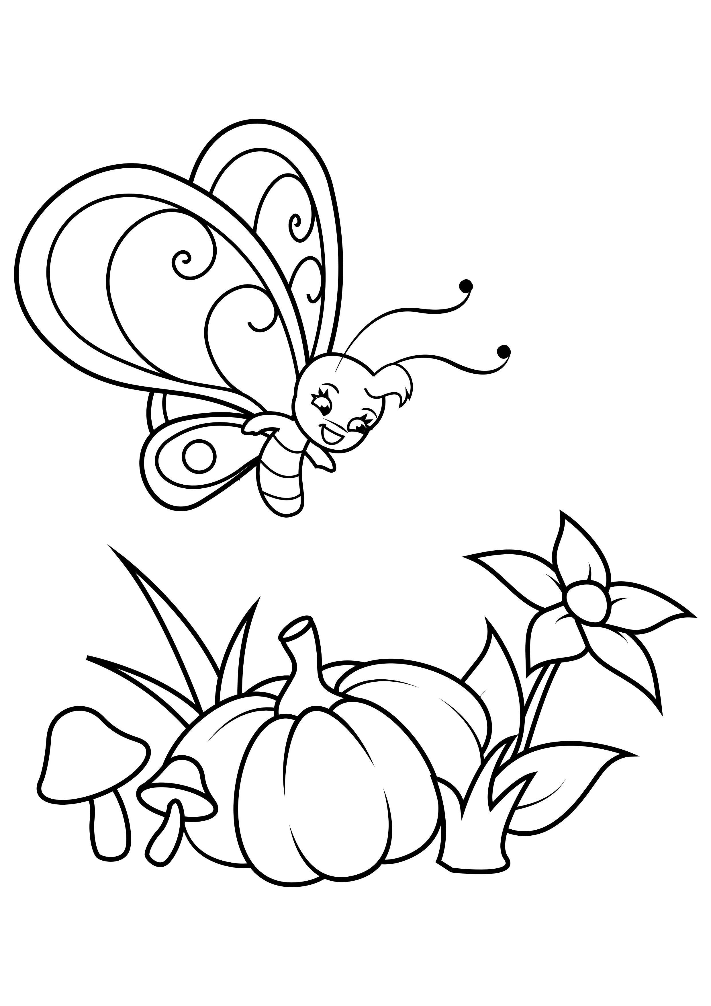 Dibujo para colorear mariposa sobre flor y calabaza