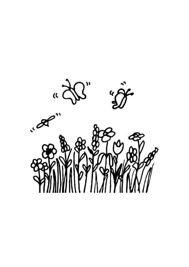 mariposas Dibujo para colorear mariposas