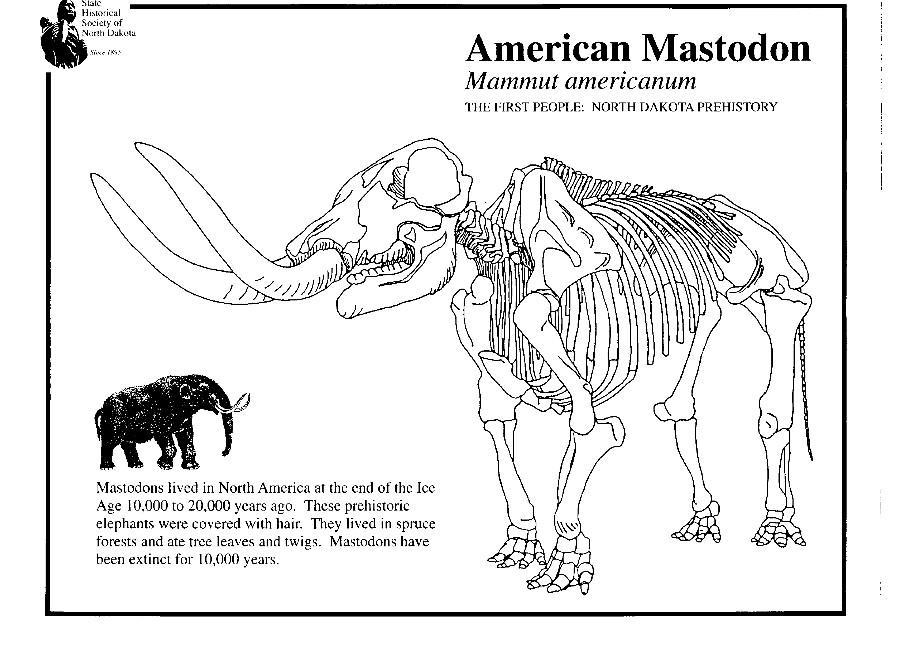 mastodonte Dibujo para colorear mastodonte