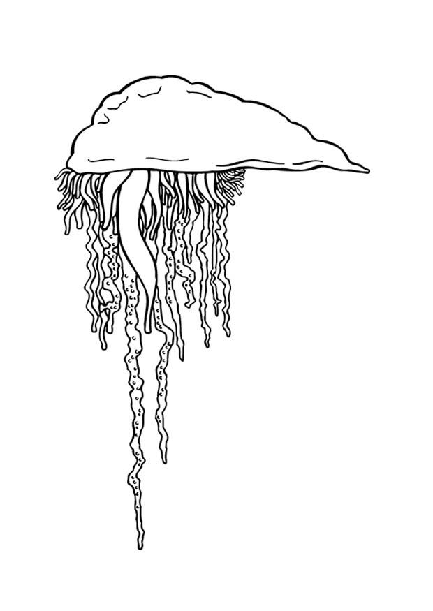 medusa Dibujo para colorear medusa