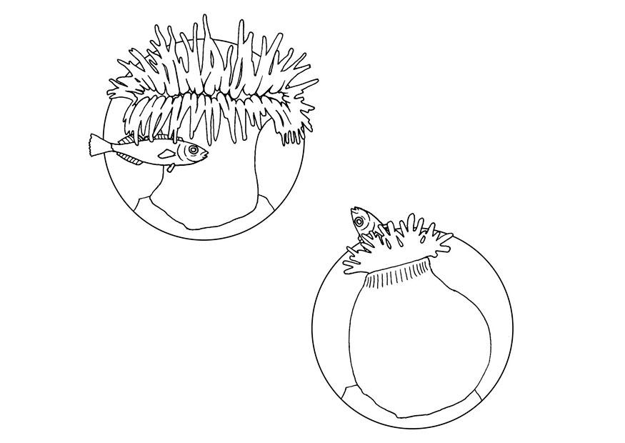 Dibujo para colorear medusa coge un pez