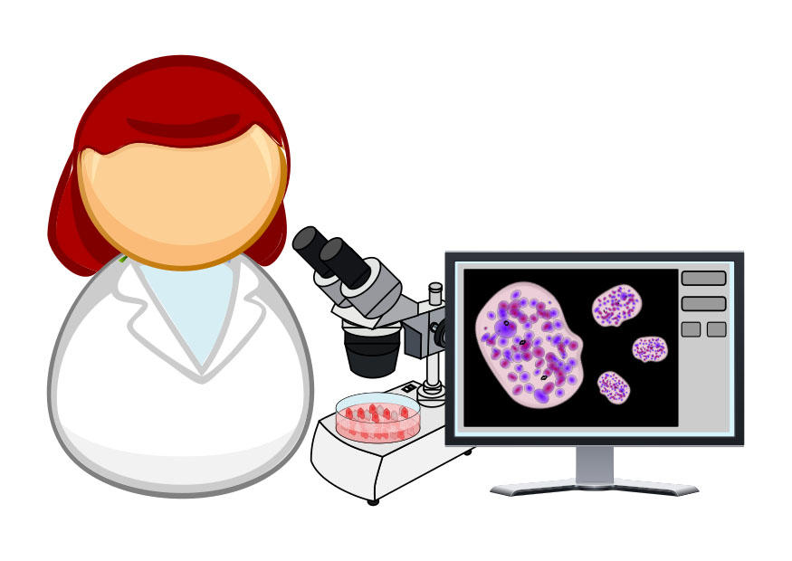 Imagen microbiA³loga