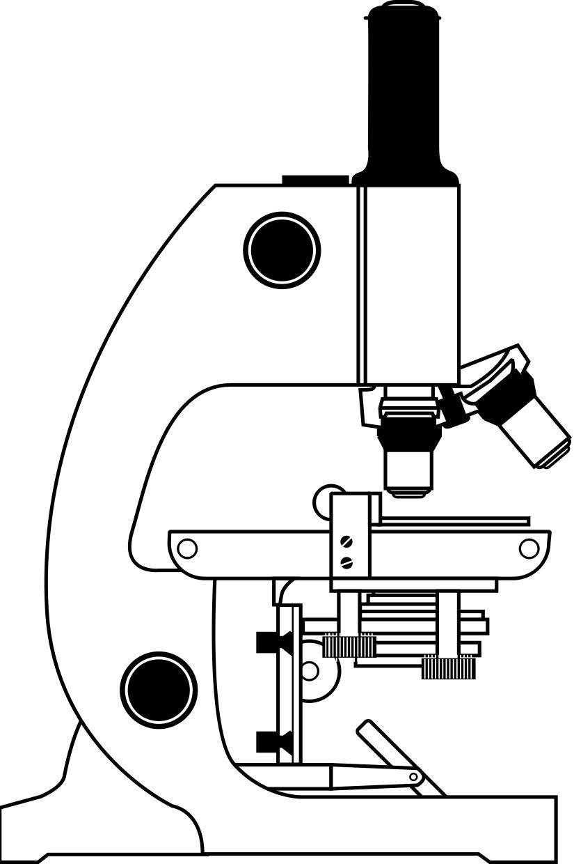 Dibujo para colorear microscopio