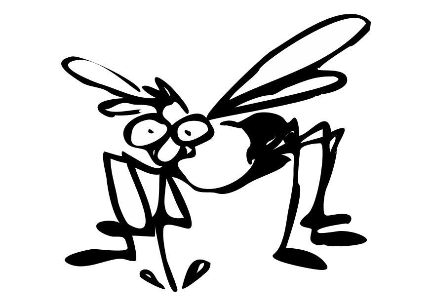 mosquito Dibujo para colorear mosquito