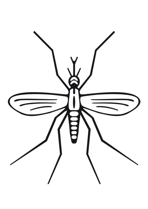mosquito Dibujo para colorear mosquito