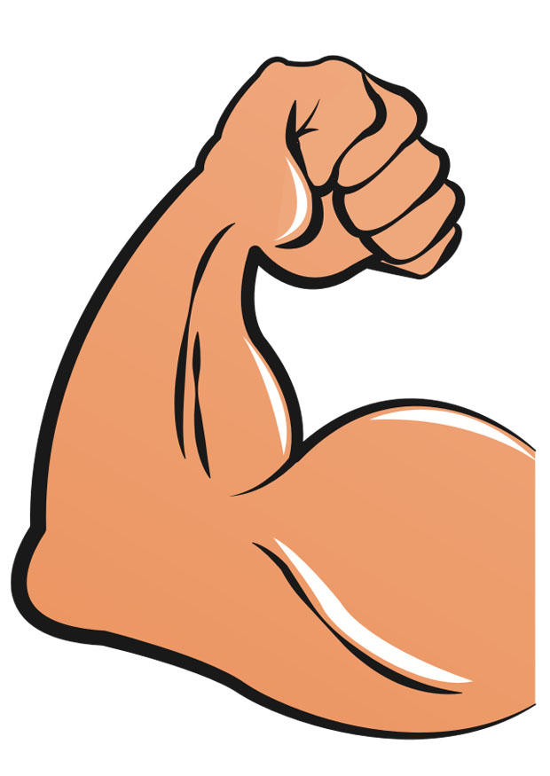 musculoso Imagen musculoso