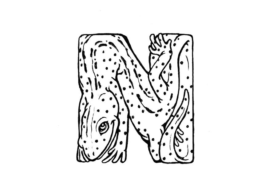 n-newt Dibujo para colorear n-newt
