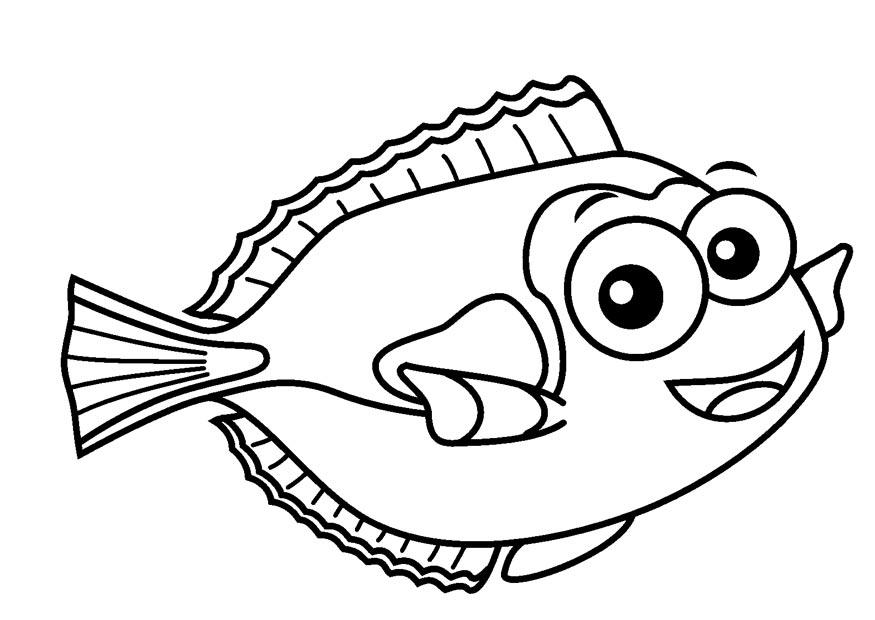 navajA³n Dibujo para colorear navajA³n