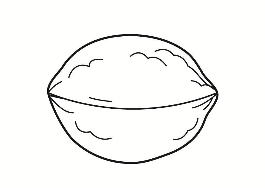 nuez Dibujo para colorear nuez