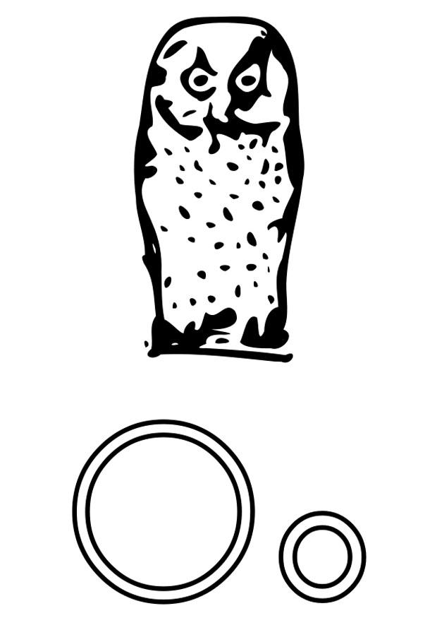 o Dibujo para colorear o