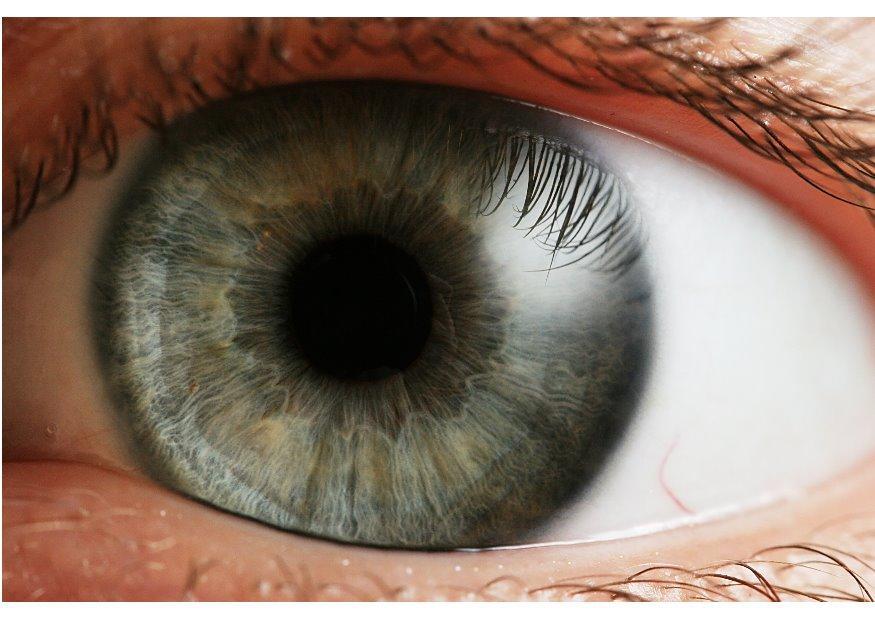 ojo - iris Foto ojo - iris