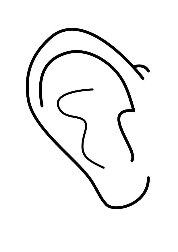 oreja Dibujo para colorear oreja