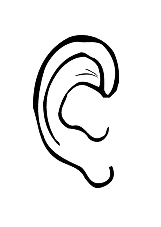 oreja Dibujo para colorear oreja