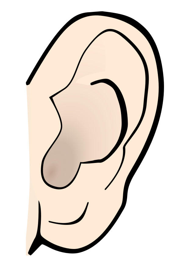 Imagen oreja - silencio