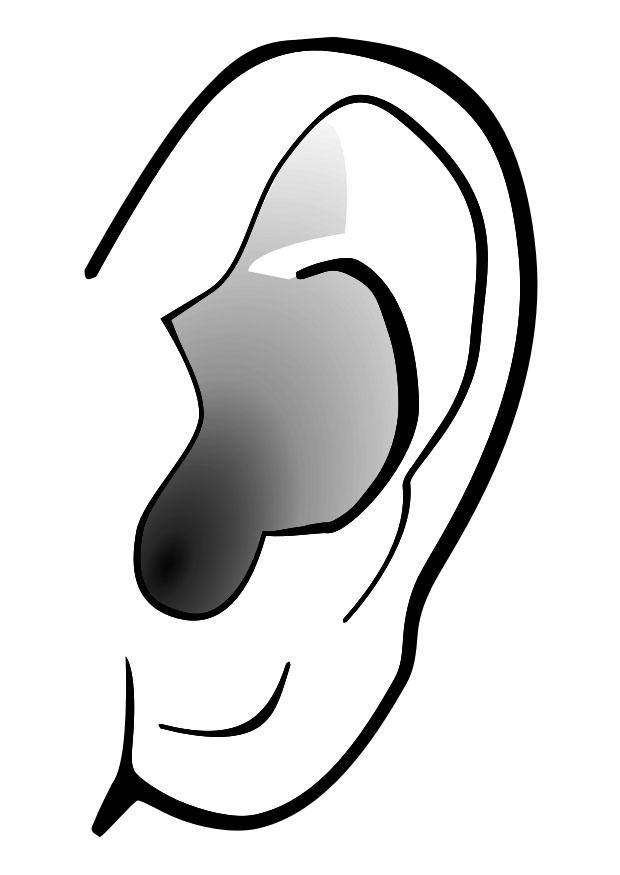 oreja - silencio Dibujo para colorear oreja - silencio