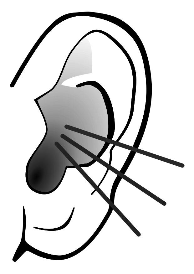 oreja - sonido Dibujo para colorear oreja - sonido