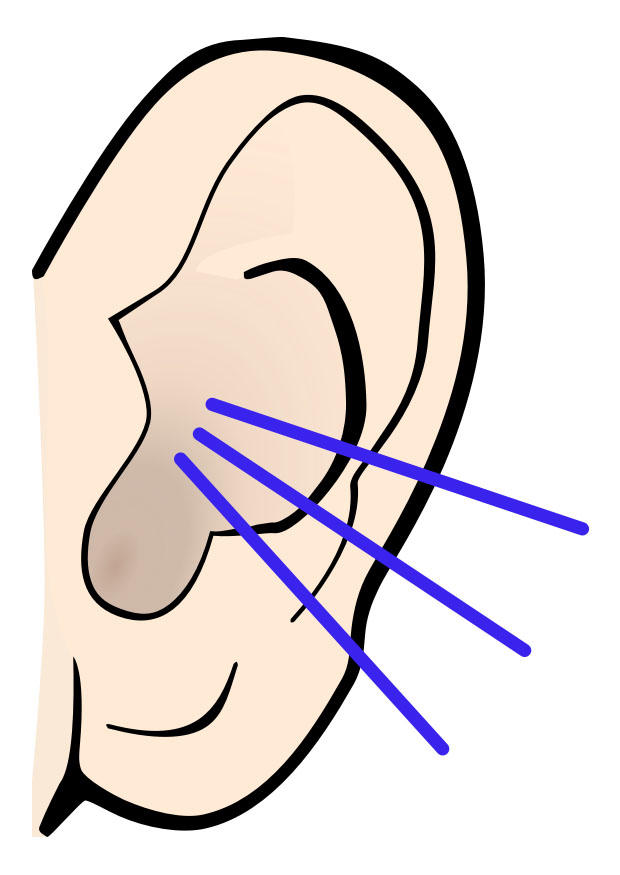 oreja - sonido Imagen oreja - sonido