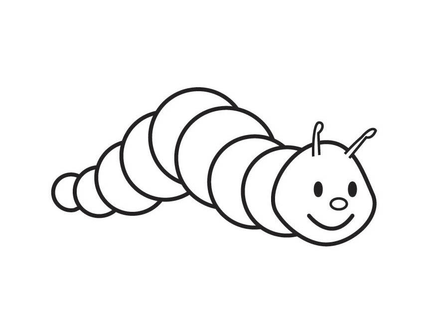 oruga Dibujo para colorear oruga