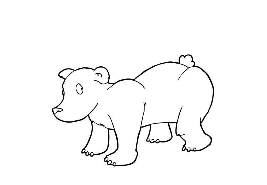 Dibujo para colorear oso