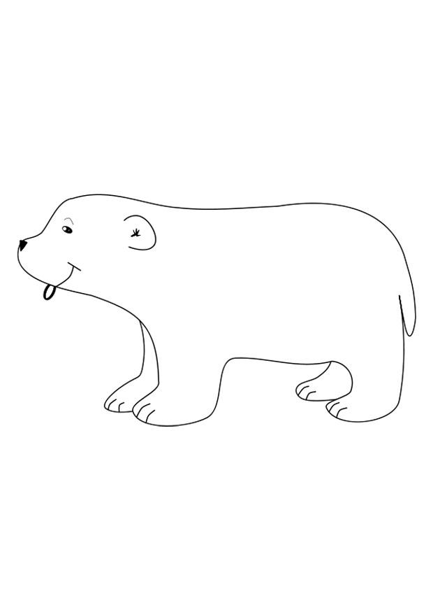 oso polar Dibujo para colorear oso polar