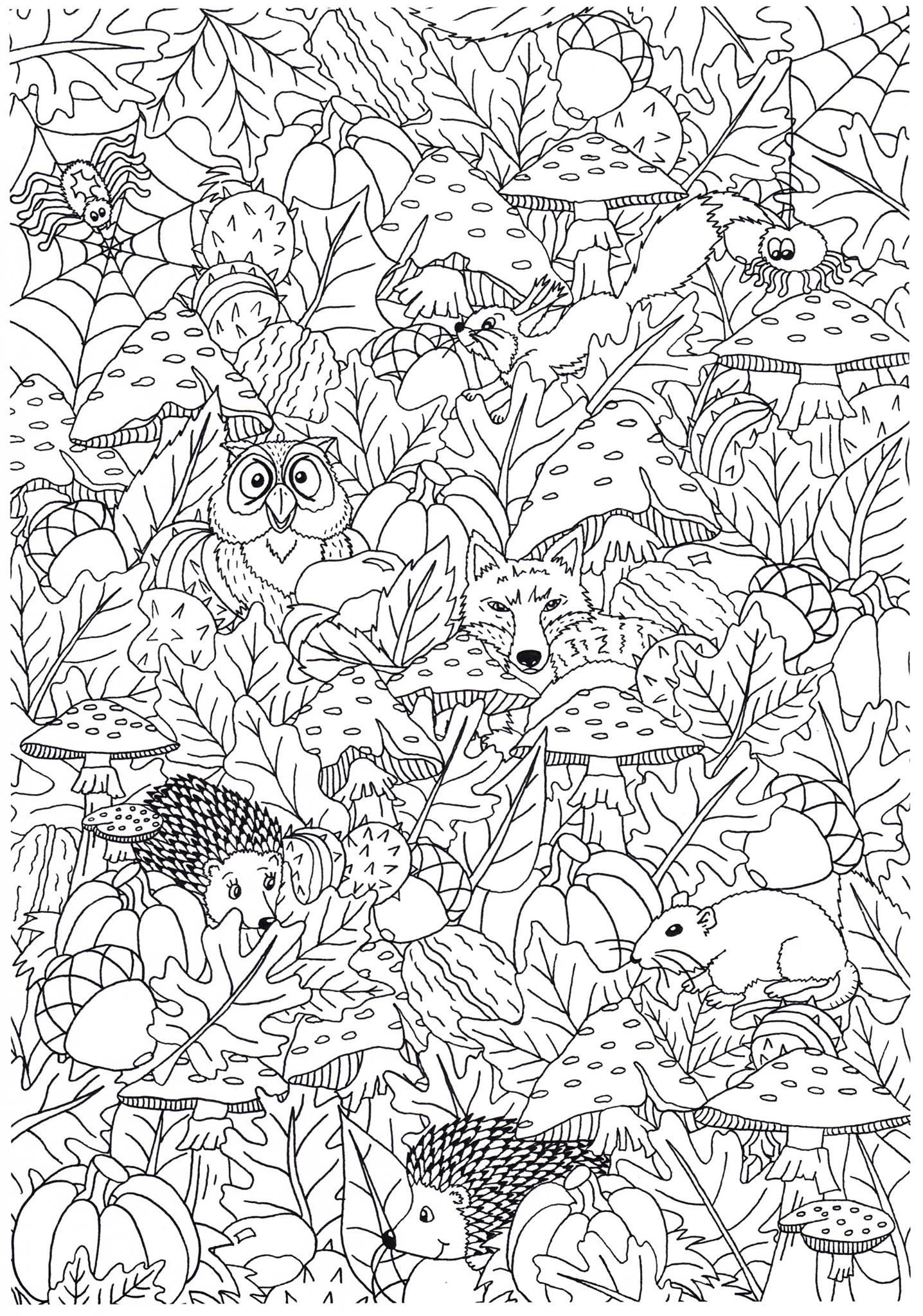 otono en el bosque Dibujo para colorear otono en el bosque
