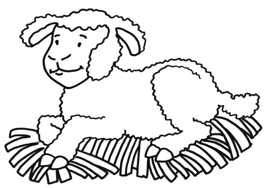 oveja Dibujo para colorear oveja