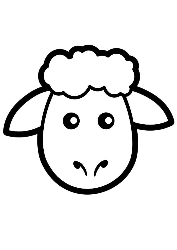 oveja Dibujo para colorear oveja
