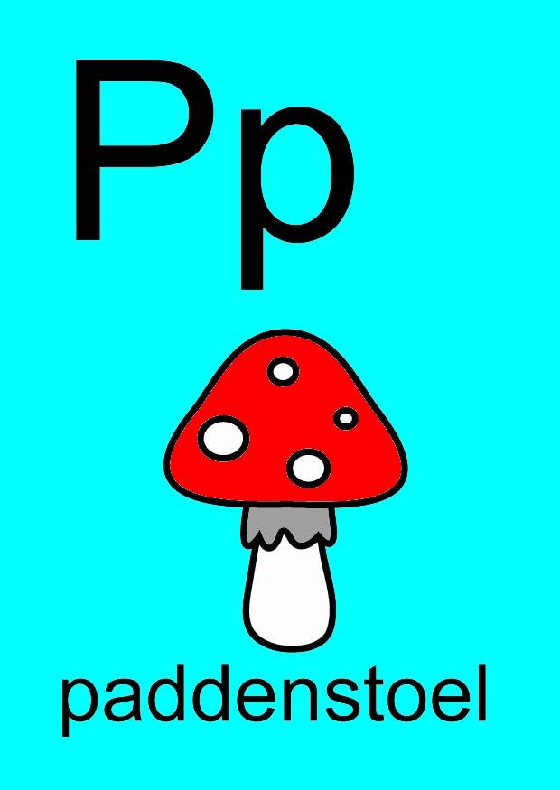 p Imagen p