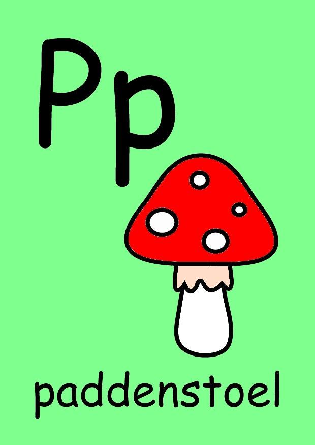 p Imagen p