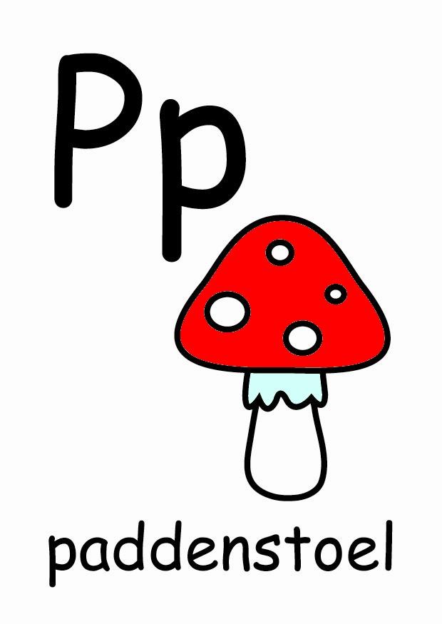 p Imagen p