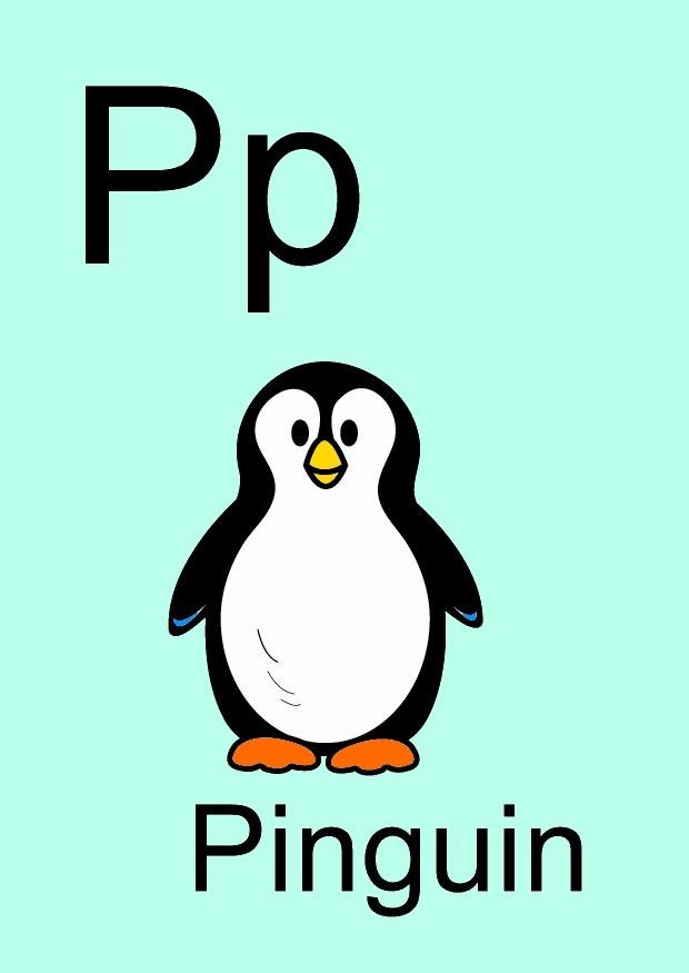 p Imagen p