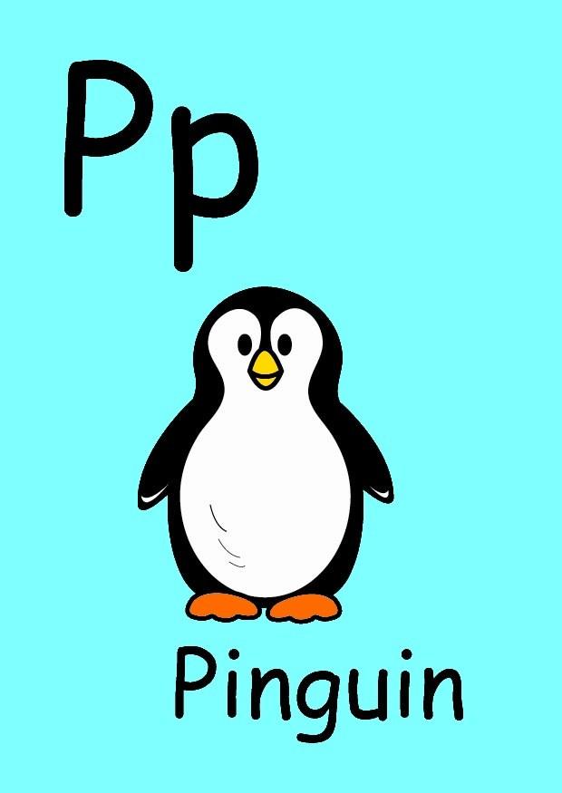 p Imagen p