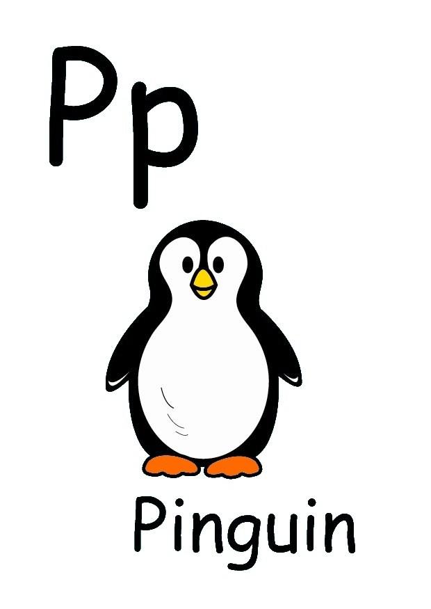 p Imagen p