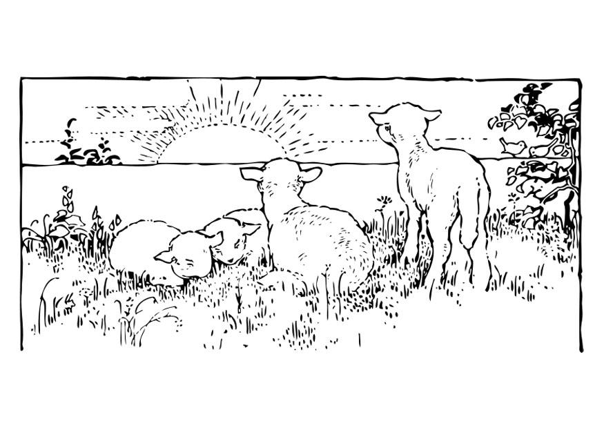 paisaje con borregos Dibujo para colorear paisaje con borregos