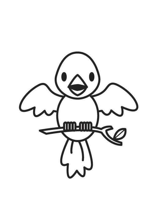 pA¡jaro Dibujo para colorear pA¡jaro