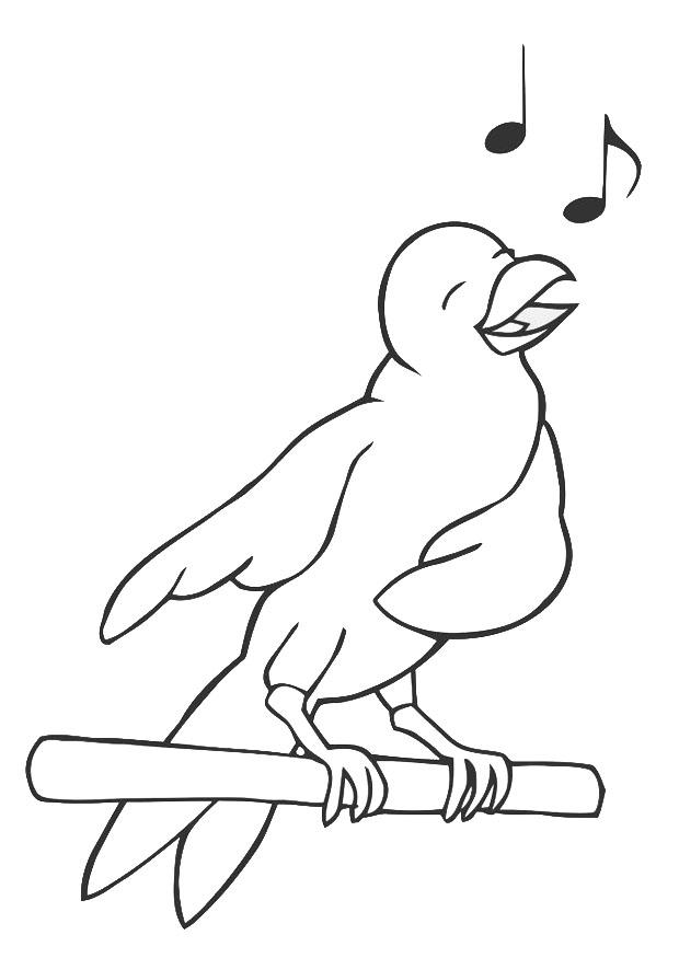 pA¡jaro cantando Dibujo para colorear pA¡jaro cantando