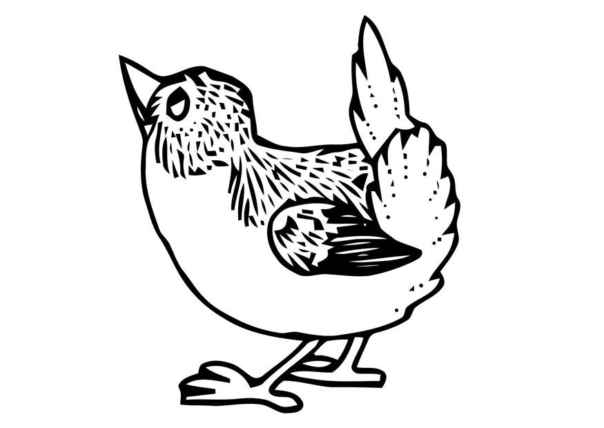 pA¡jaro pequeno Dibujo para colorear pA¡jaro pequeno