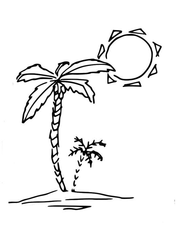 palmera Dibujo para colorear palmera