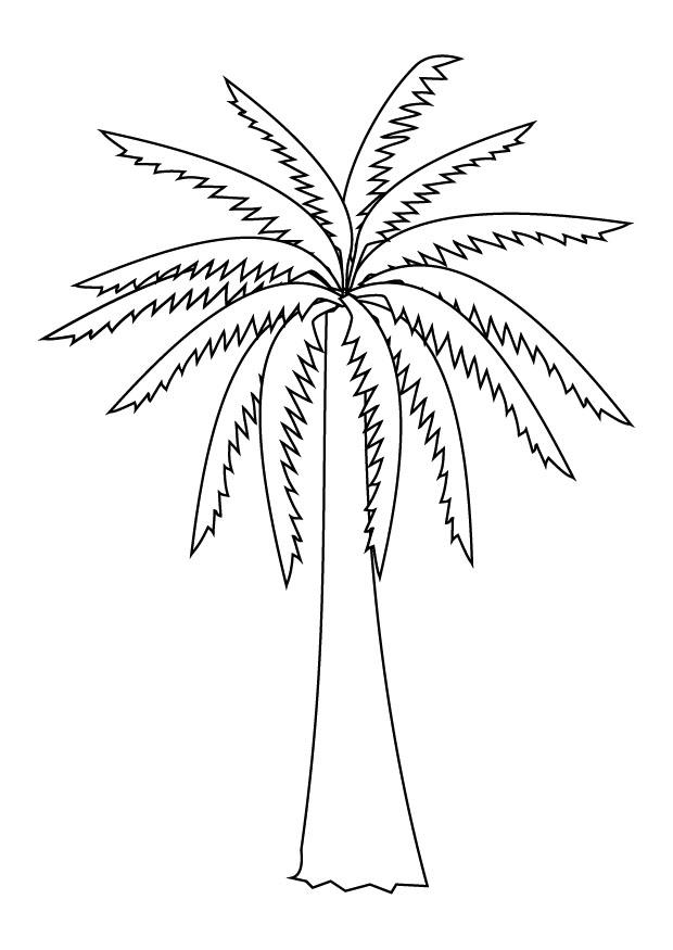Dibujo para colorear palmera