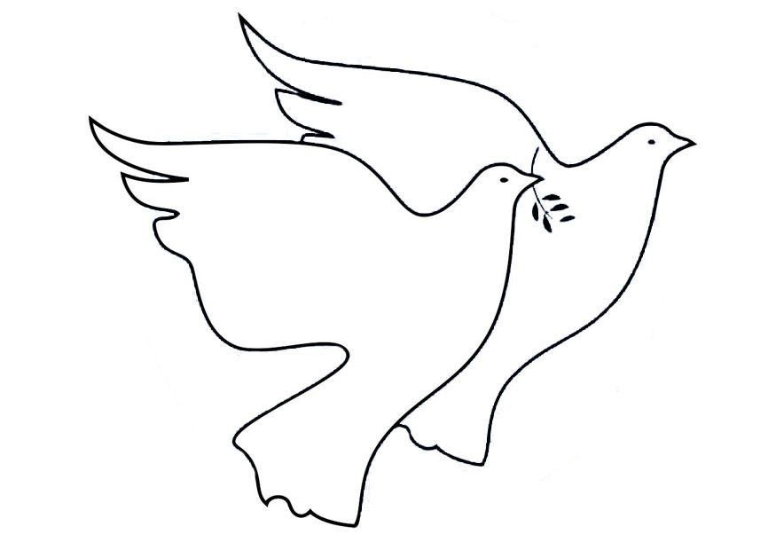 palomas Dibujo para colorear palomas